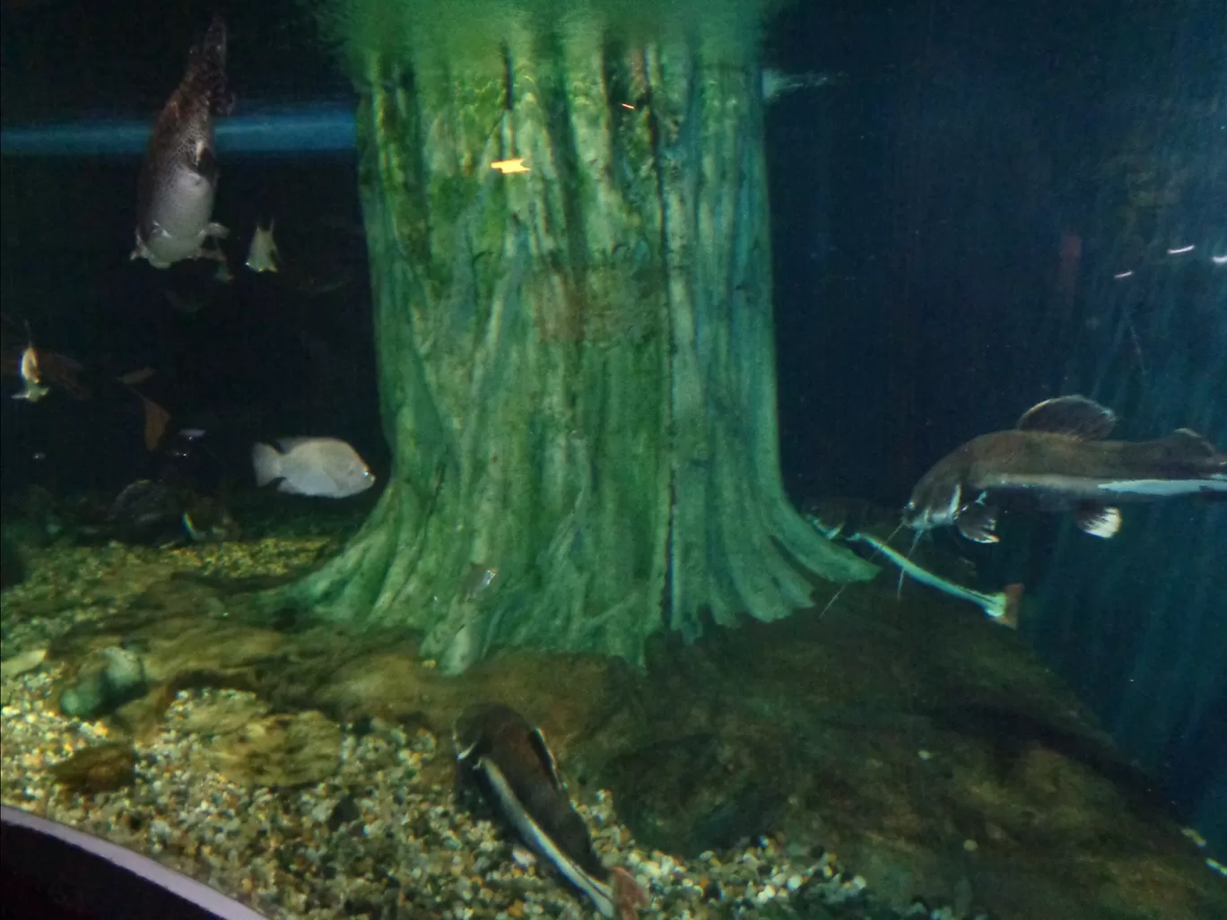 Photo of Aquaria KLCC By Kannan