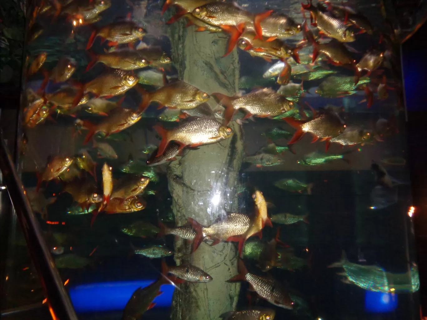Photo of Aquaria KLCC By Kannan