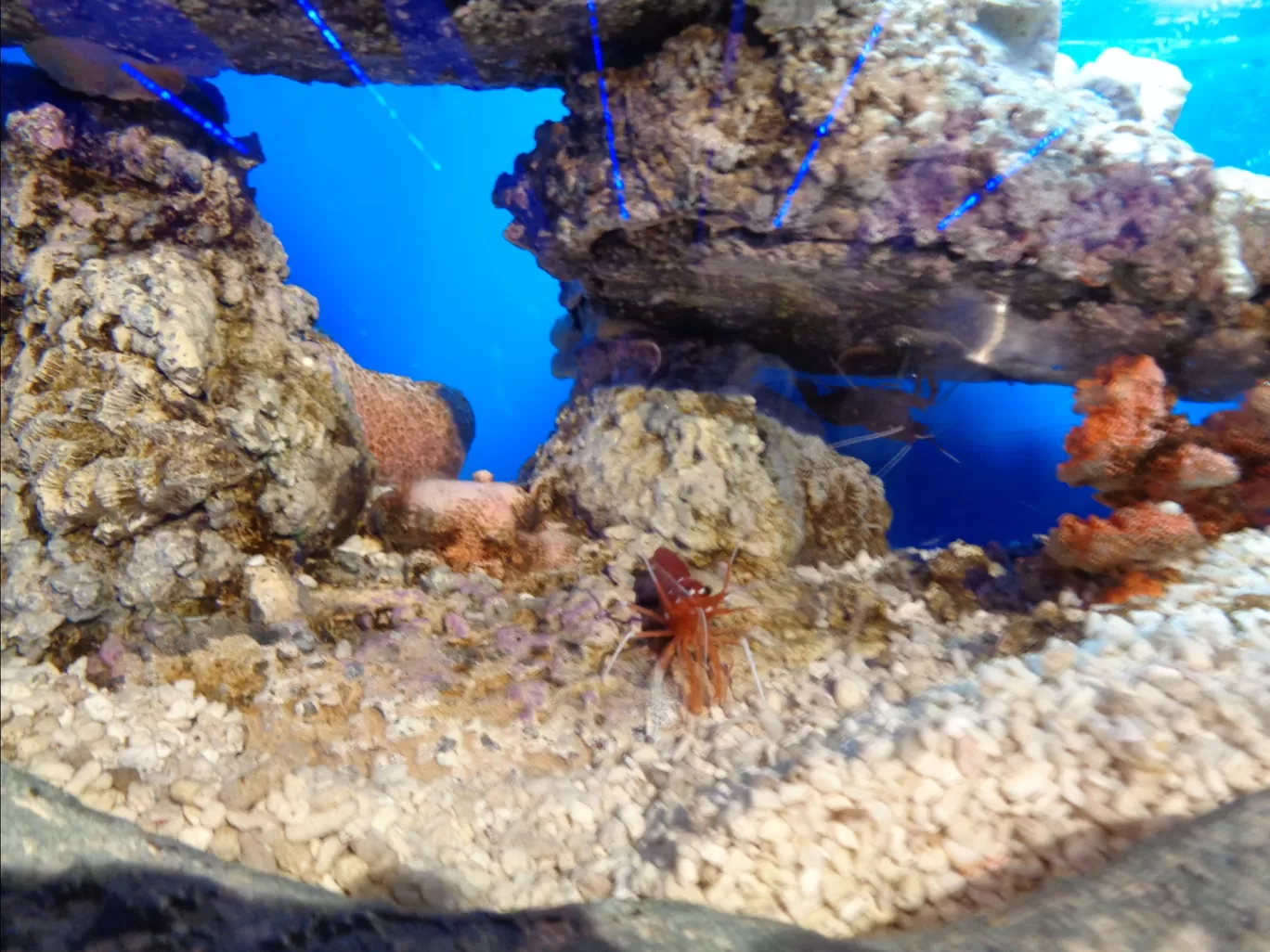Photo of Aquaria KLCC By Kannan