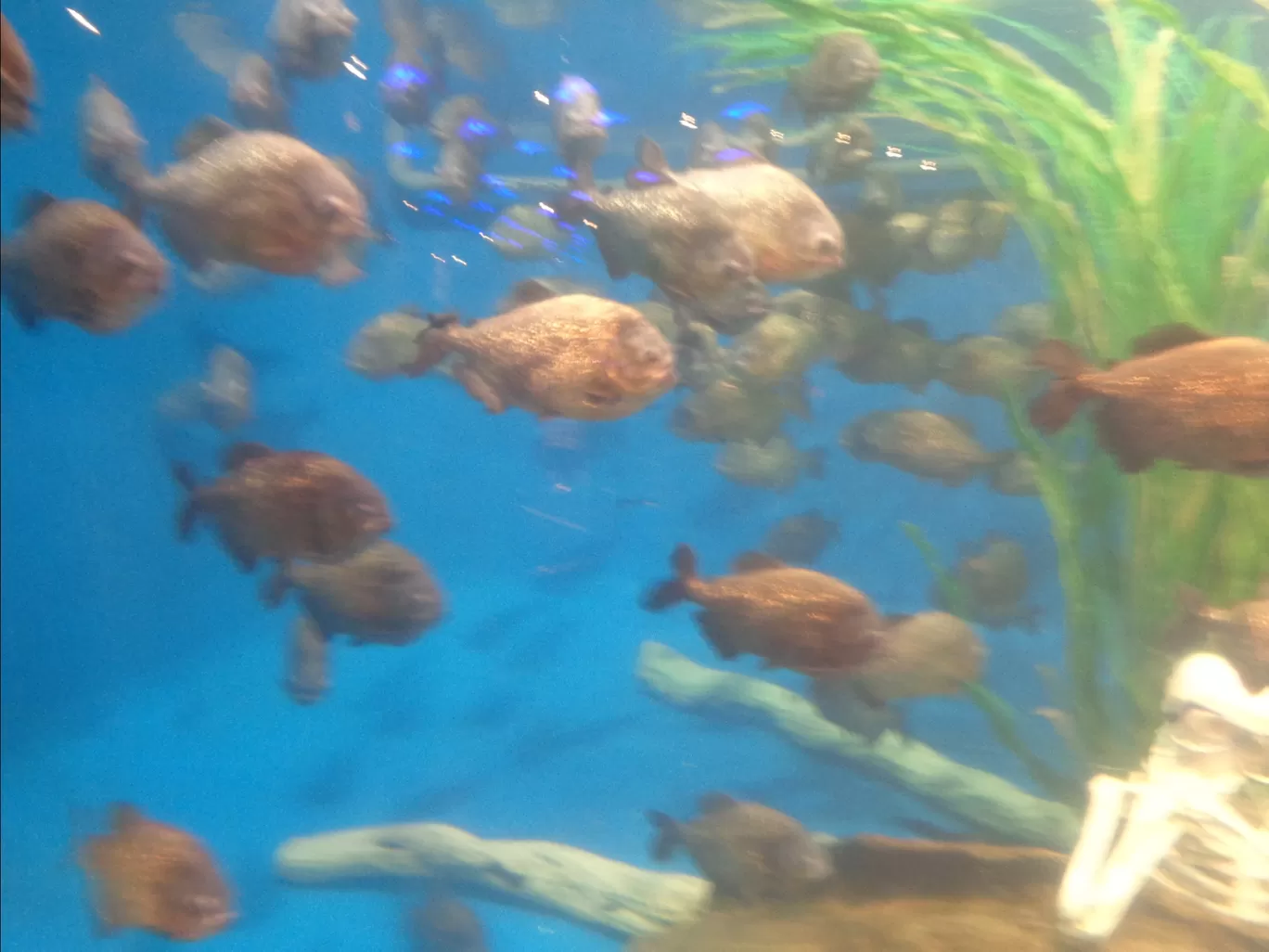 Photo of Aquaria KLCC By Kannan
