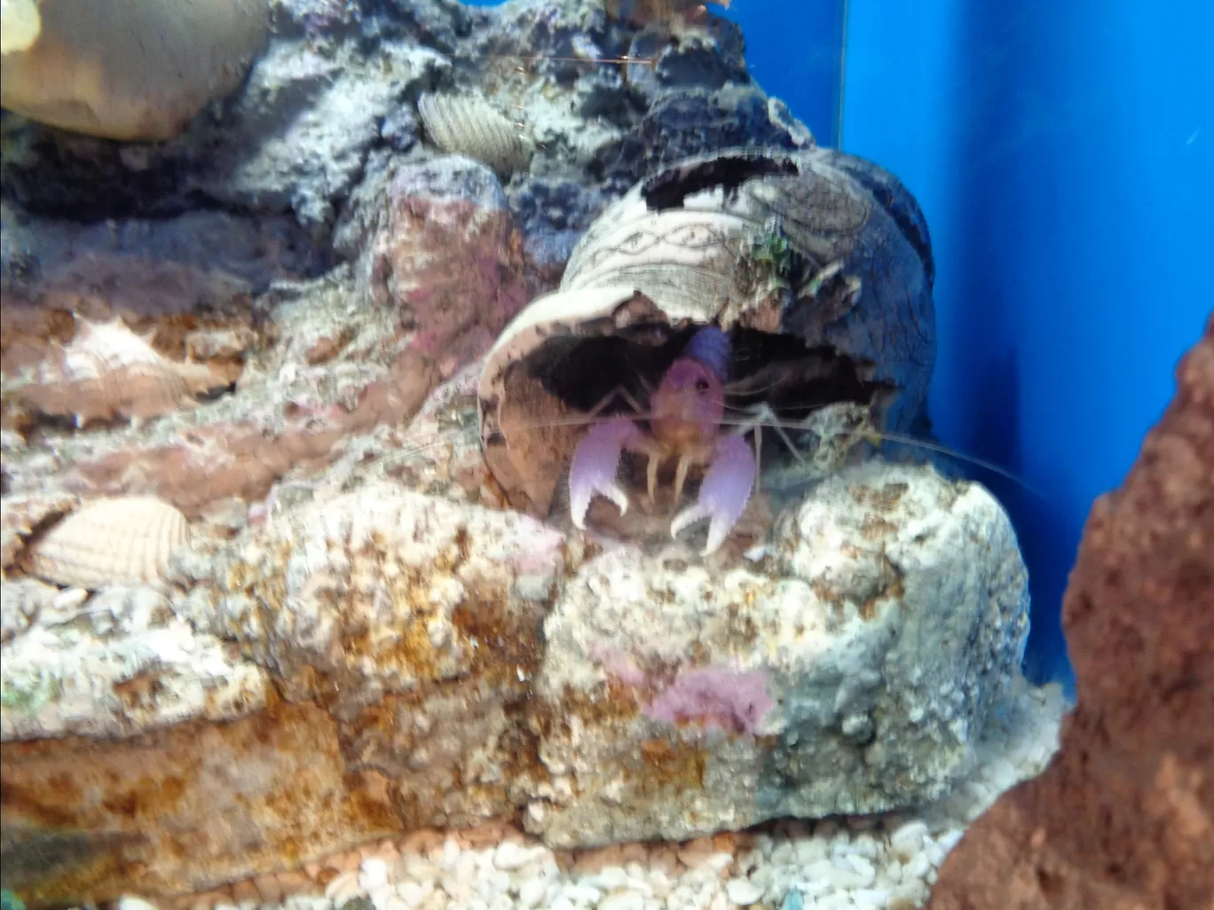 Photo of Aquaria KLCC By Kannan