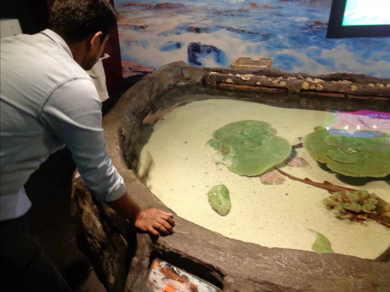 Photo of Aquaria KLCC By Kannan