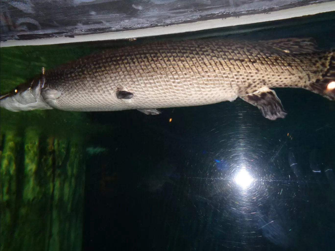 Photo of Aquaria KLCC By Kannan