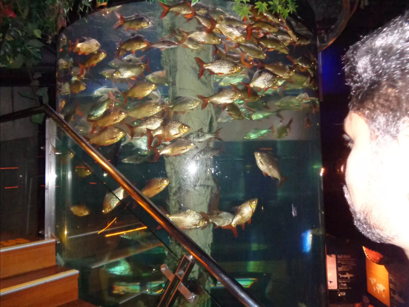 Photo of Aquaria KLCC By Kannan