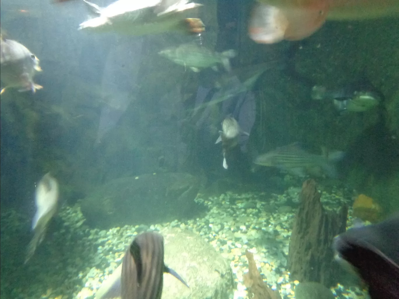 Photo of Aquaria KLCC By Kannan