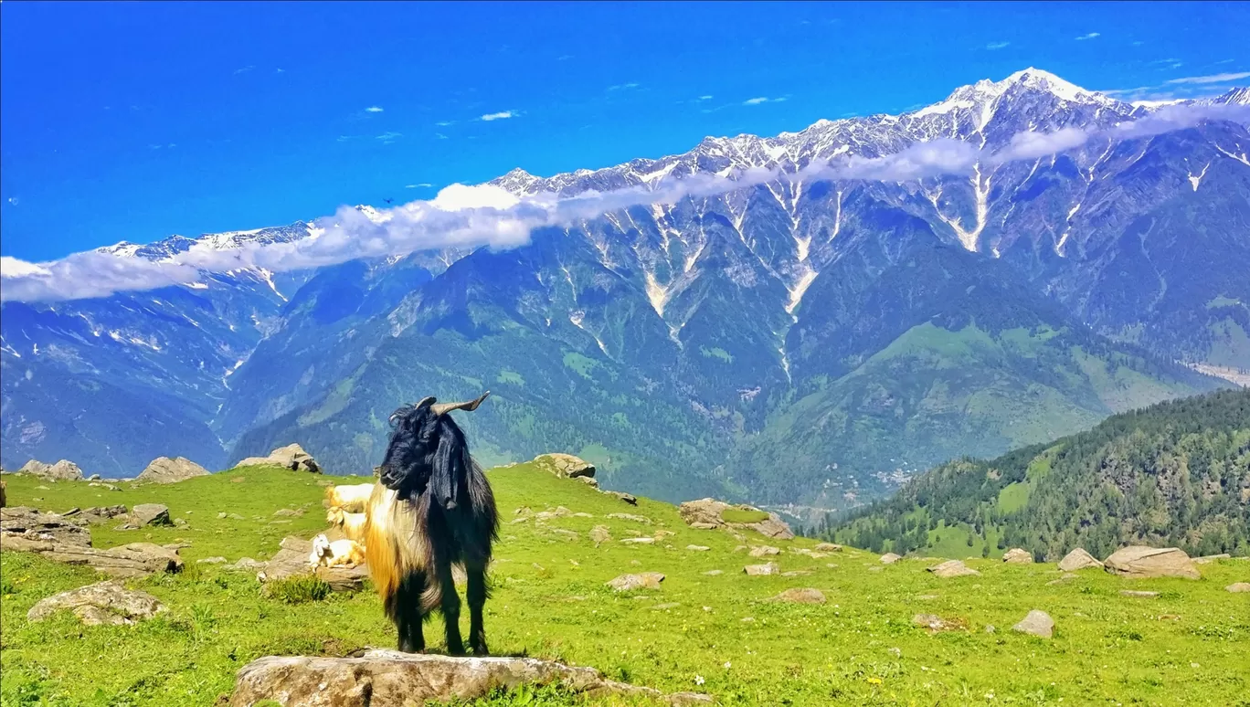 Photo of Bhrigu Lake By Shubham Rai