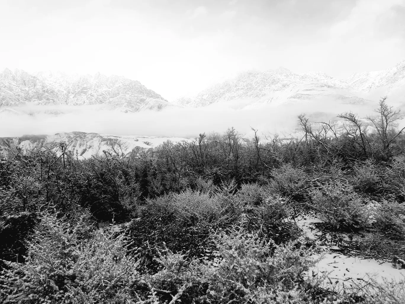 Photo of Nubra Thoise Airport By The wandering aviator 