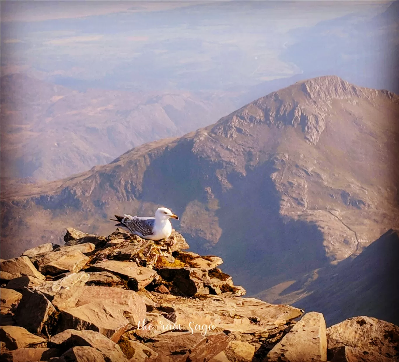 Photo of Snowdonia National Park By Rainy Baruah Kalita