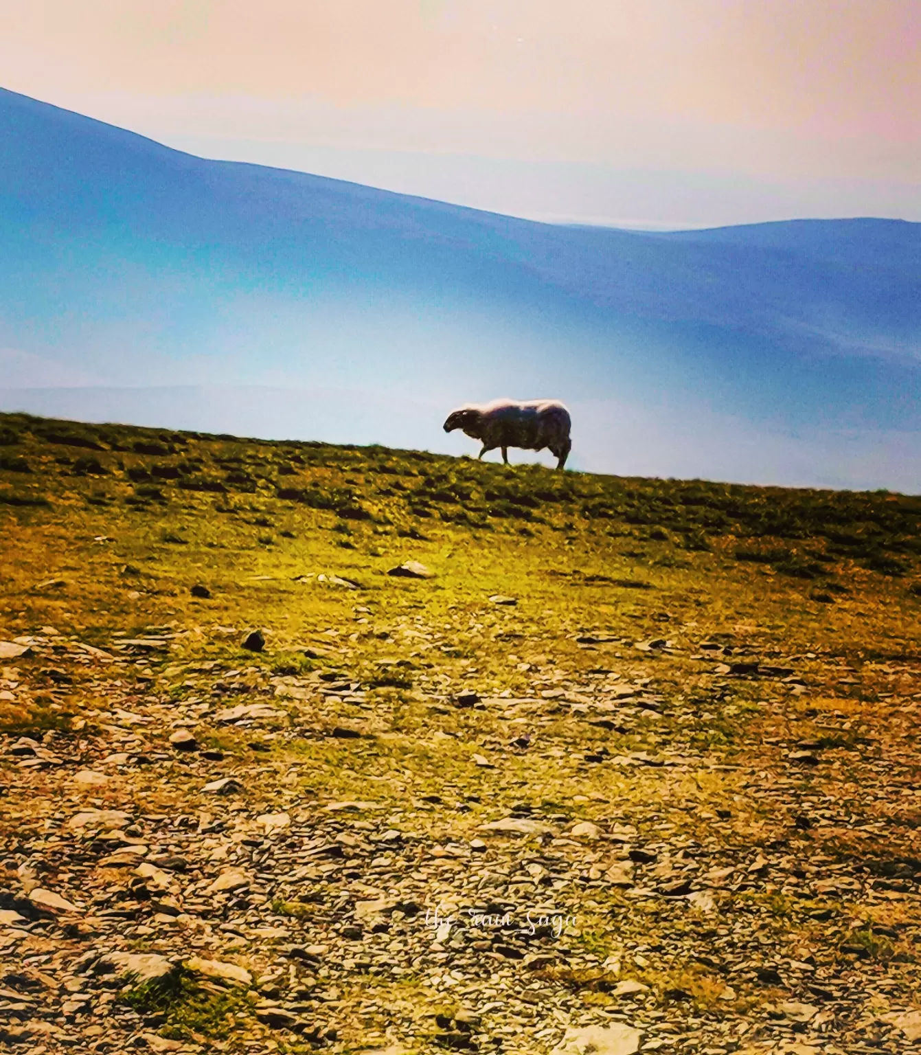 Photo of Snowdonia National Park By Rainy Baruah Kalita