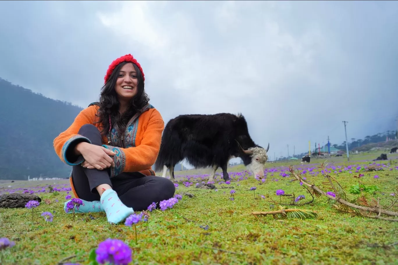 Photo of Sikkim By Ankita Kumar