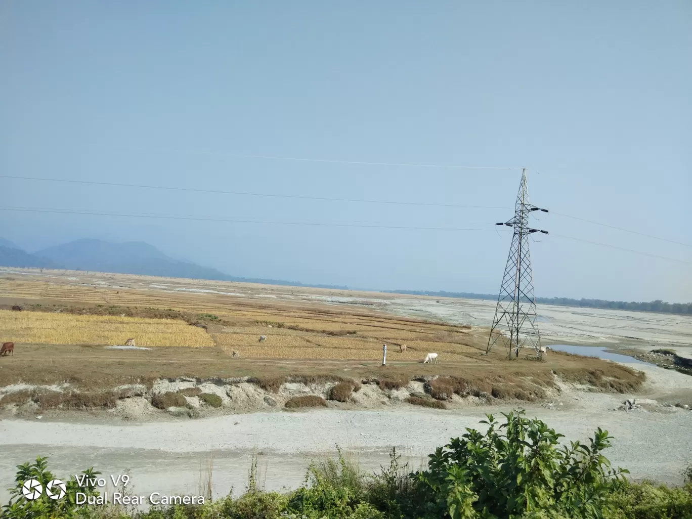 Photo of Dooars Lataguri Resort By Partha Bala