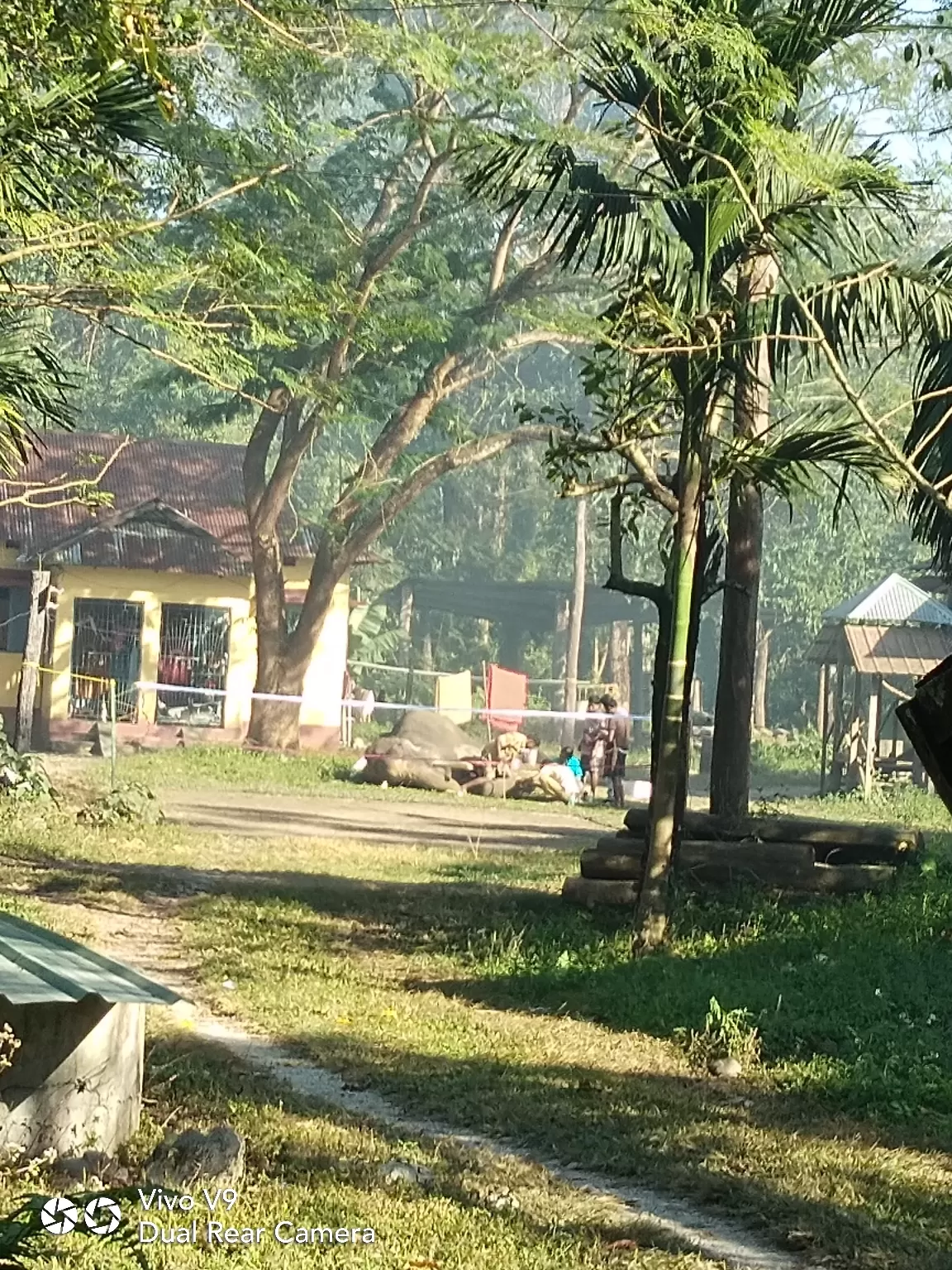 Photo of Dooars Lataguri Resort By Partha Bala