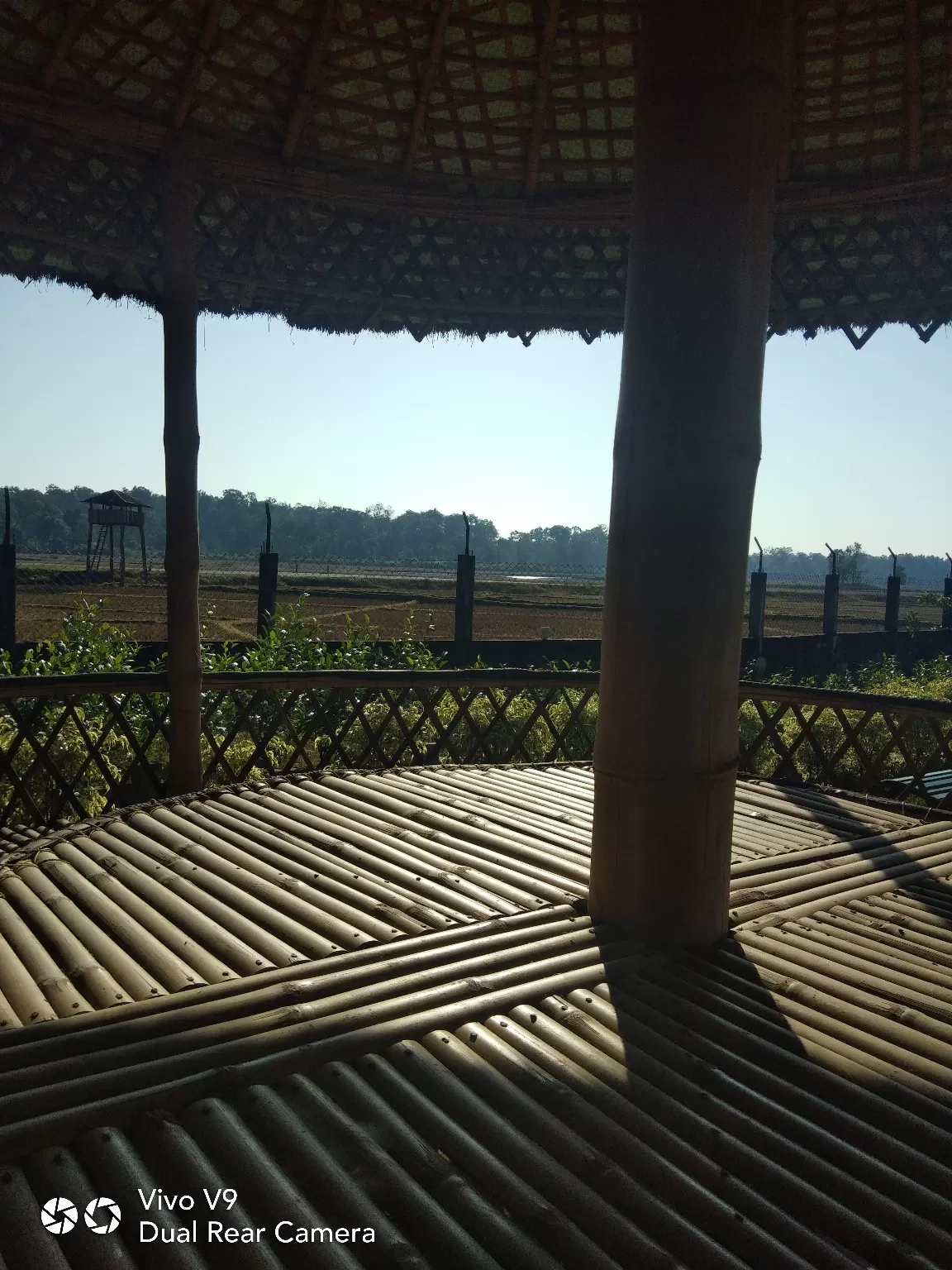 Photo of Dooars Lataguri Resort By Partha Bala