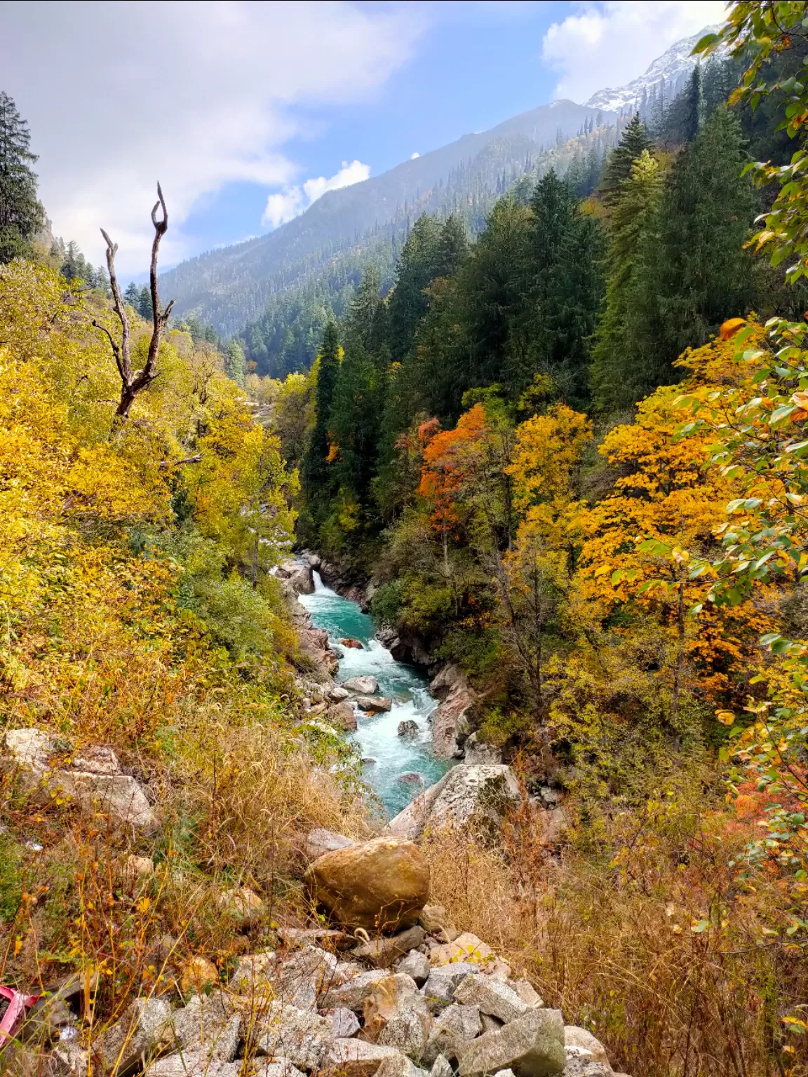 Photo of Parvati Valley By Manjunath Reddy