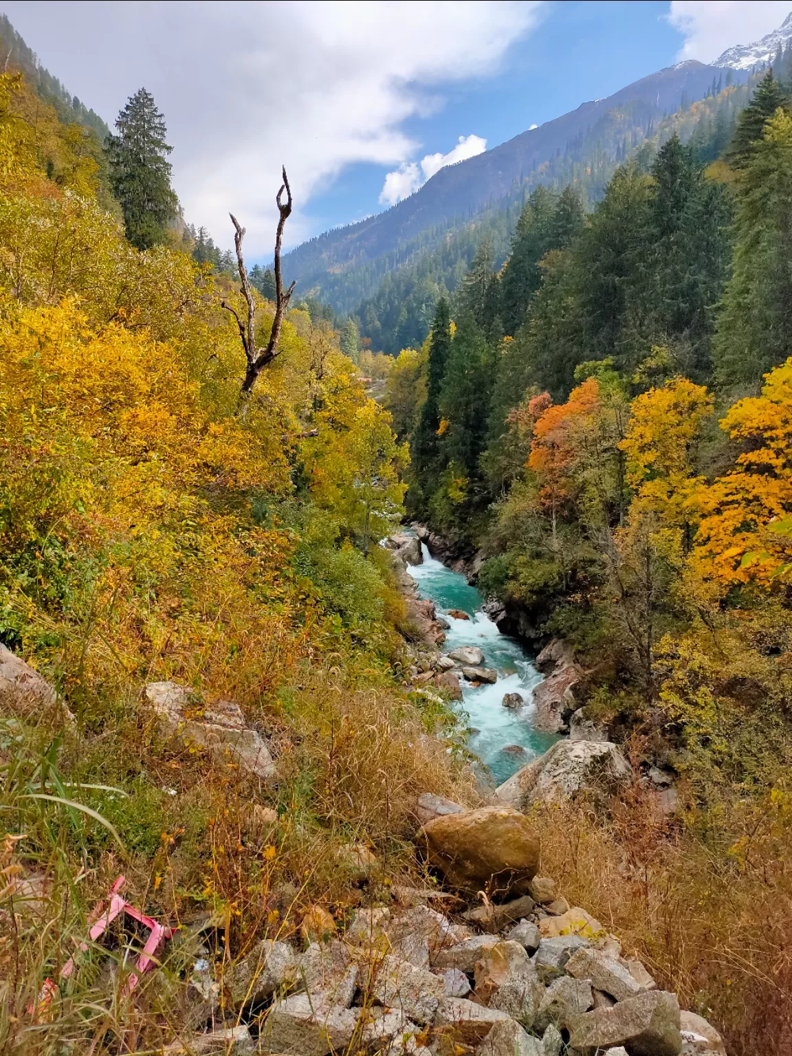 Photo of Parvati Valley By Manjunath Reddy