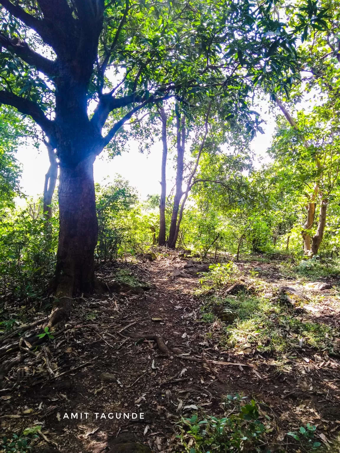 Photo of Mrugagad By Amit Tagunde