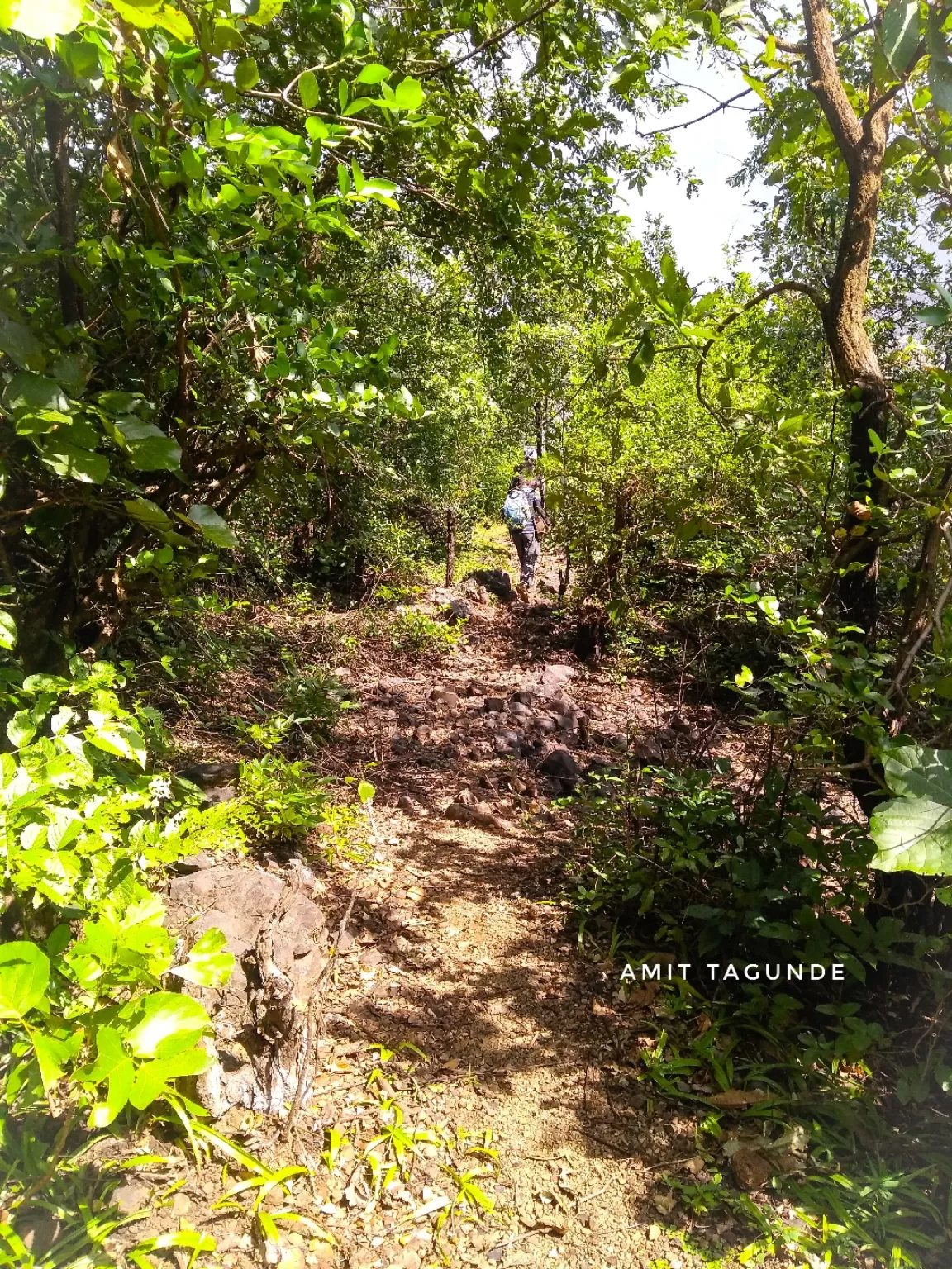 Photo of Mrugagad By Amit Tagunde