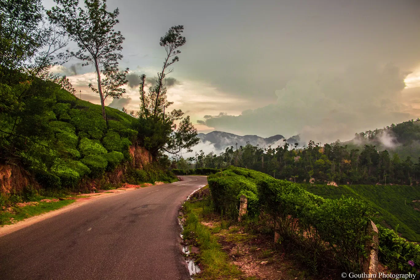 Photo of Munnar By GOUTHAMKUMAR JANAKIRAMAN