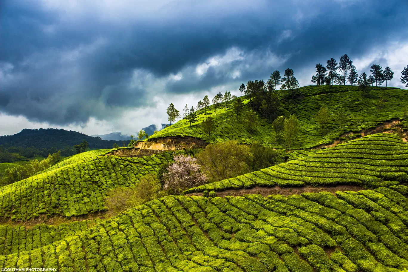 Photo of Munnar By GOUTHAMKUMAR JANAKIRAMAN