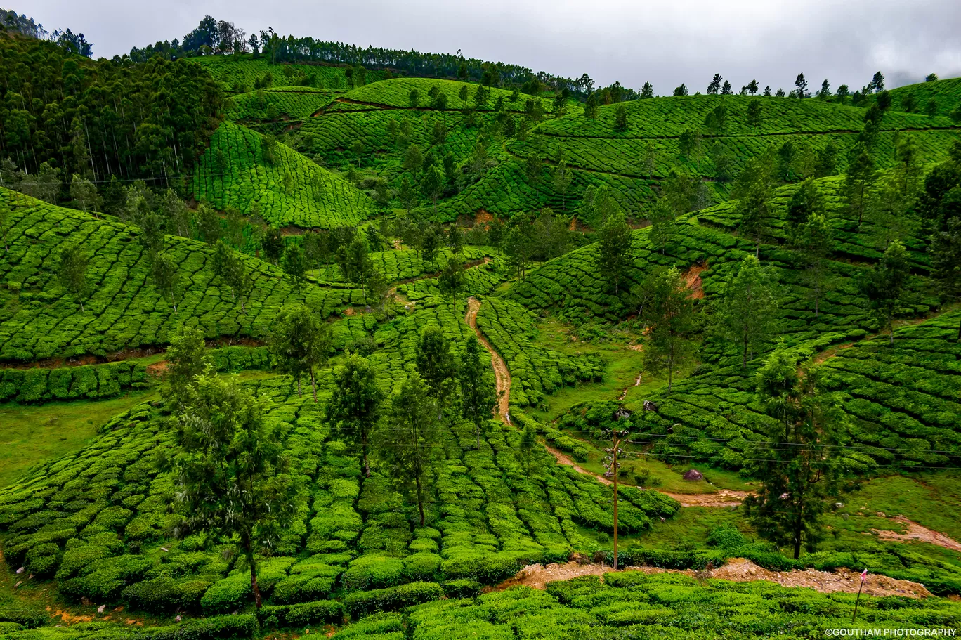 Photo of Munnar By GOUTHAMKUMAR JANAKIRAMAN