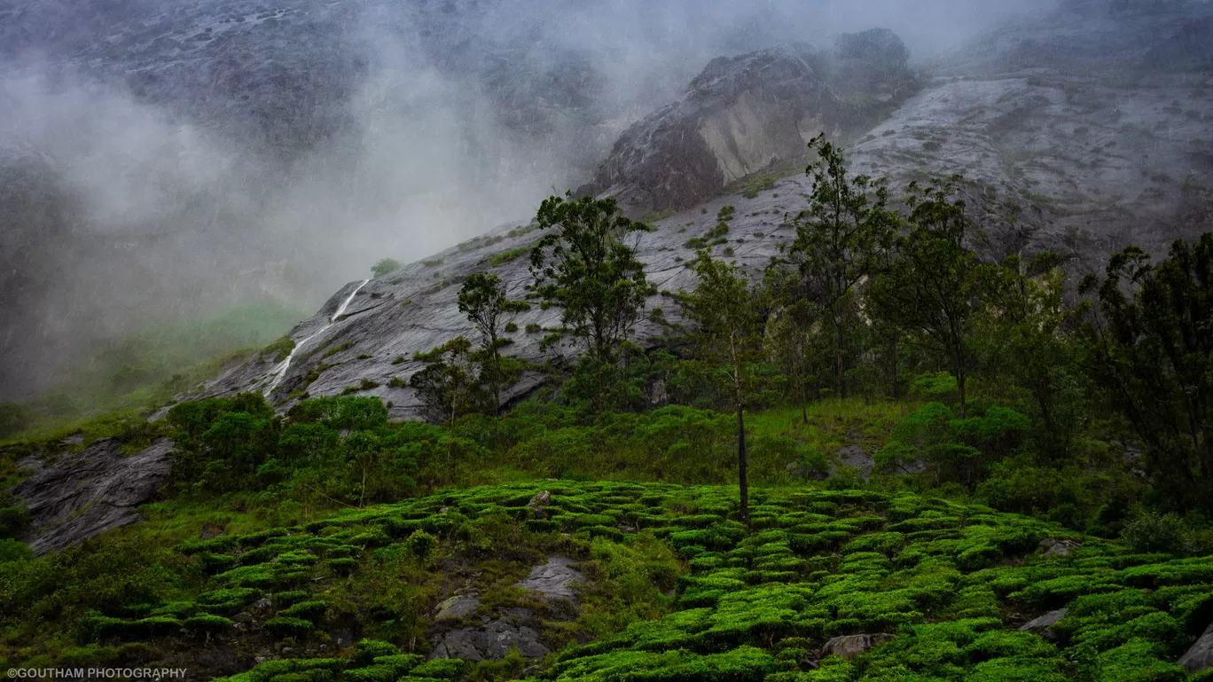Photo of Munnar By GOUTHAMKUMAR JANAKIRAMAN