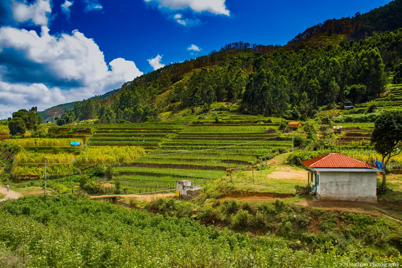 Photo of Munnar By GOUTHAMKUMAR JANAKIRAMAN