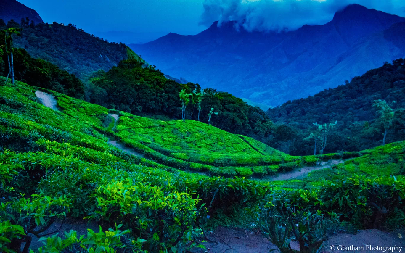 Photo of Munnar By GOUTHAMKUMAR JANAKIRAMAN