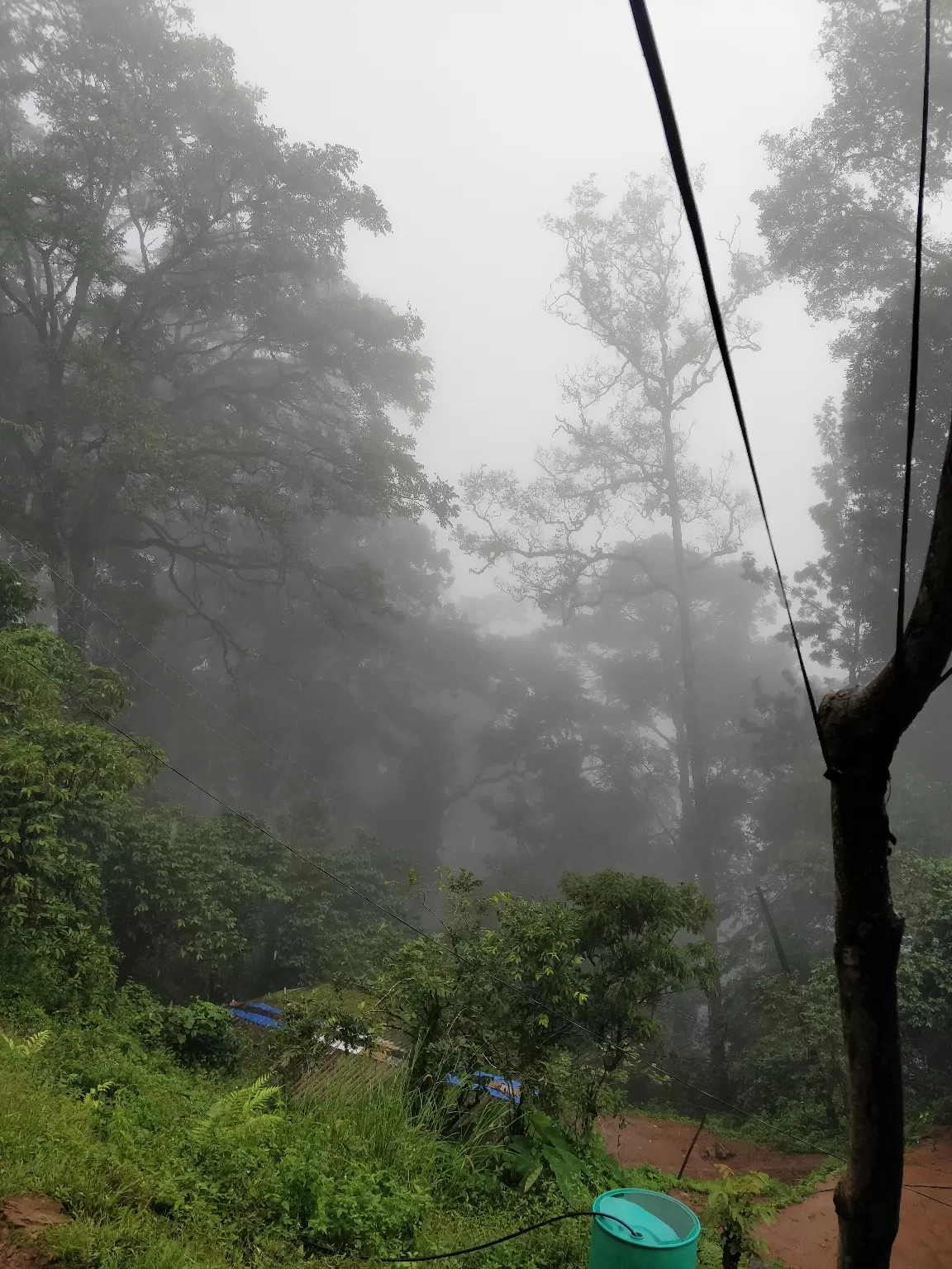 Photo of Munnar By Sushant Rai