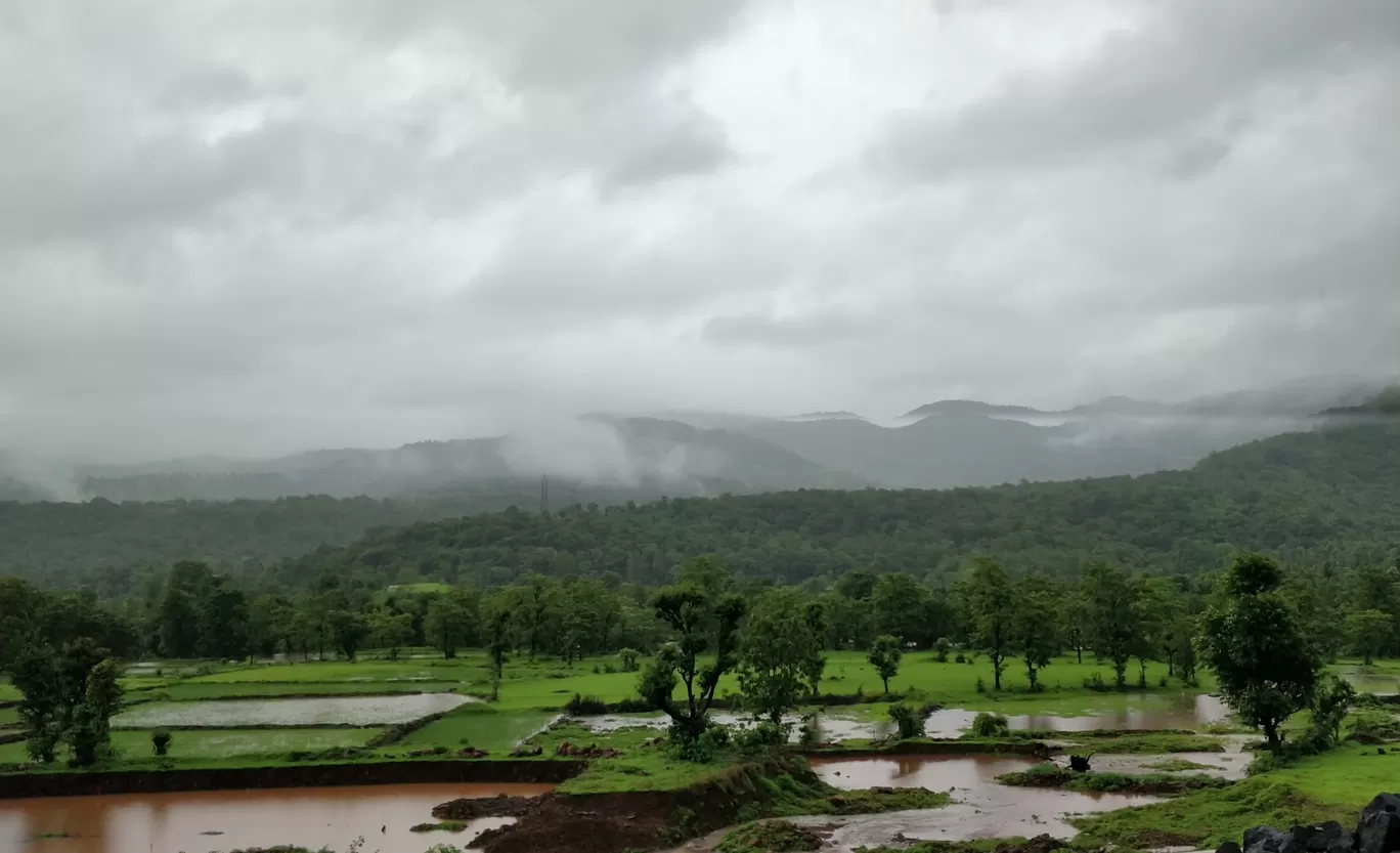Photo of Munnar By Sushant Rai
