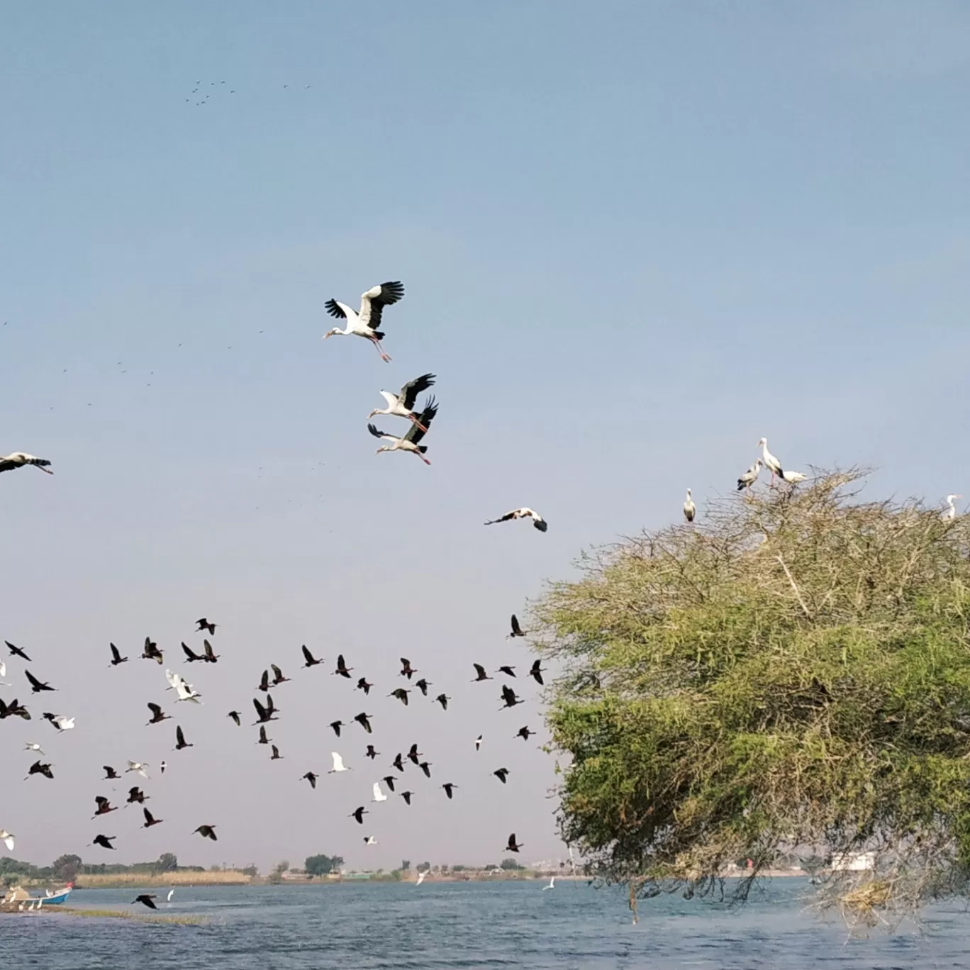 Photo of Bhigwan bird sanctuary By Netra Purohit