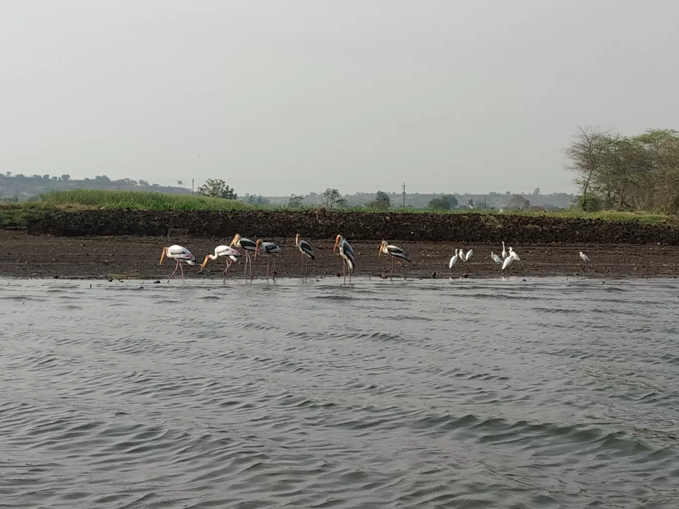 Photo of Bhigwan bird sanctuary By Netra Purohit