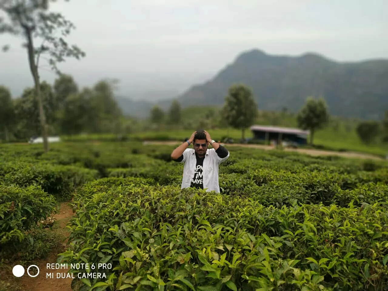 Photo of Ooty Botanical Gardens By Aaditya Dwivedi (solo traveller)