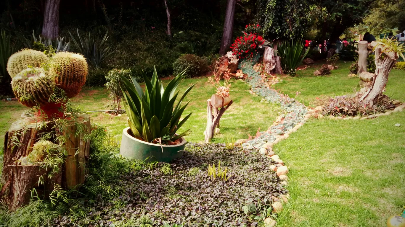 Photo of Ooty Botanical Gardens By Aaditya Dwivedi (solo traveller)