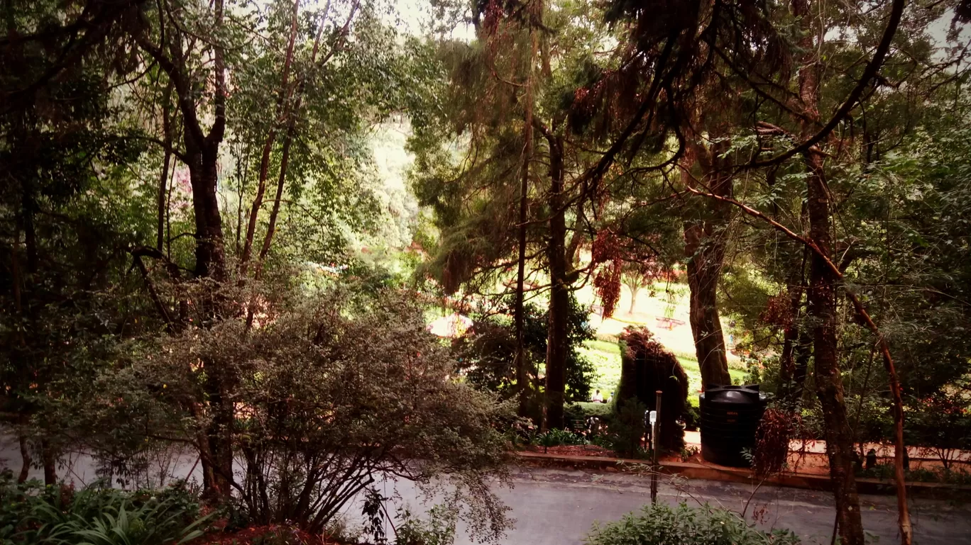 Photo of Ooty Botanical Gardens By Aaditya Dwivedi (solo traveller)