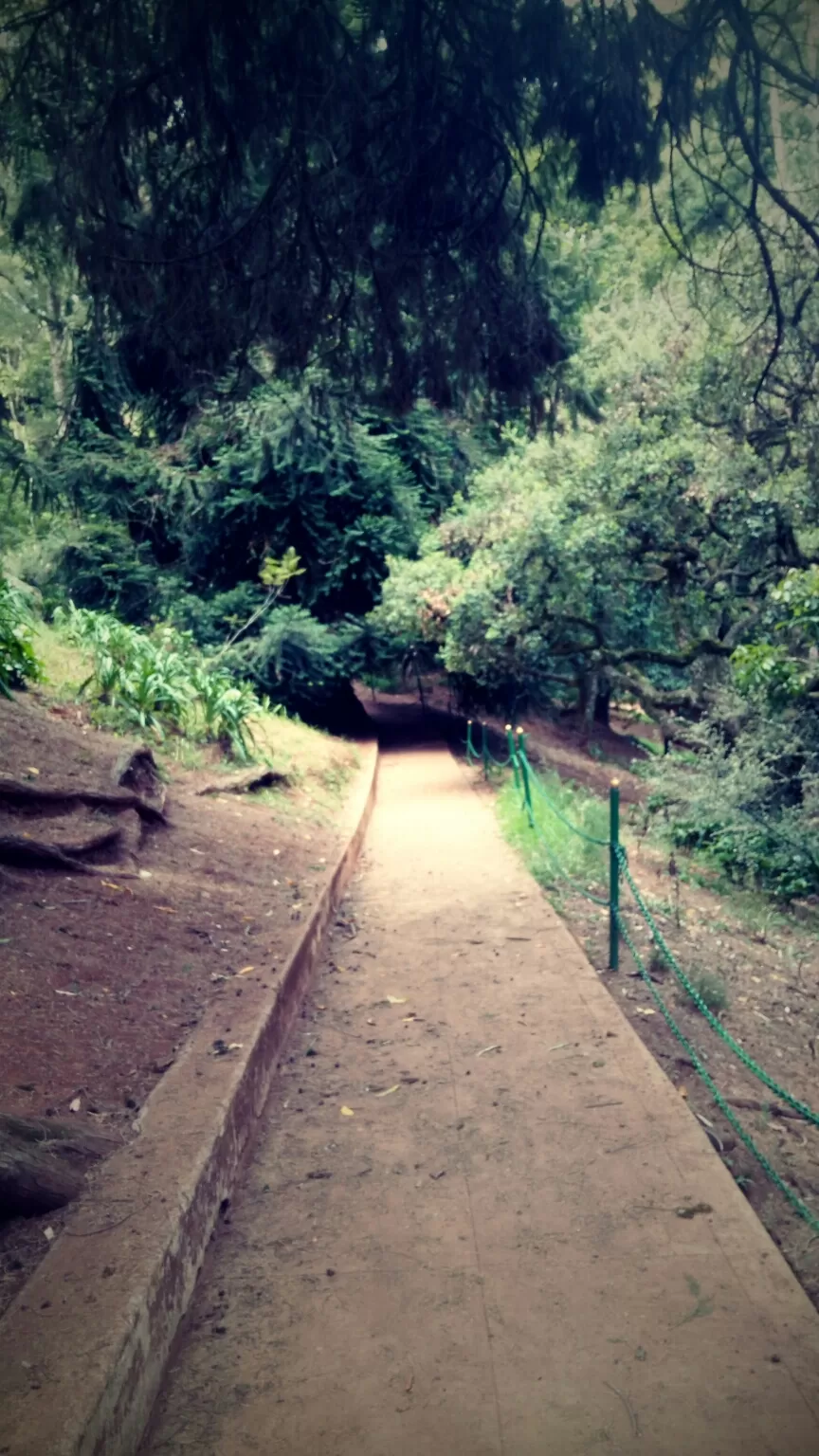 Photo of Ooty Botanical Gardens By Aaditya Dwivedi (solo traveller)