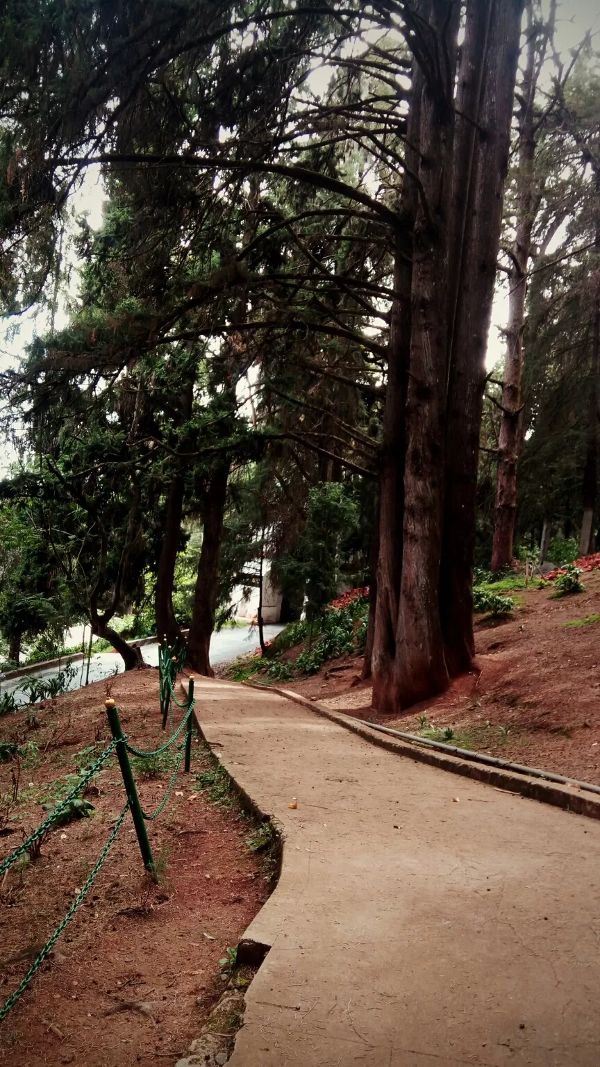 Photo of Ooty Botanical Gardens By Aaditya Dwivedi (solo traveller)