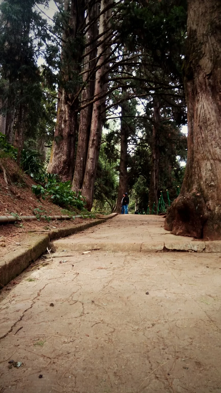Photo of Ooty Botanical Gardens By Aaditya Dwivedi (solo traveller)