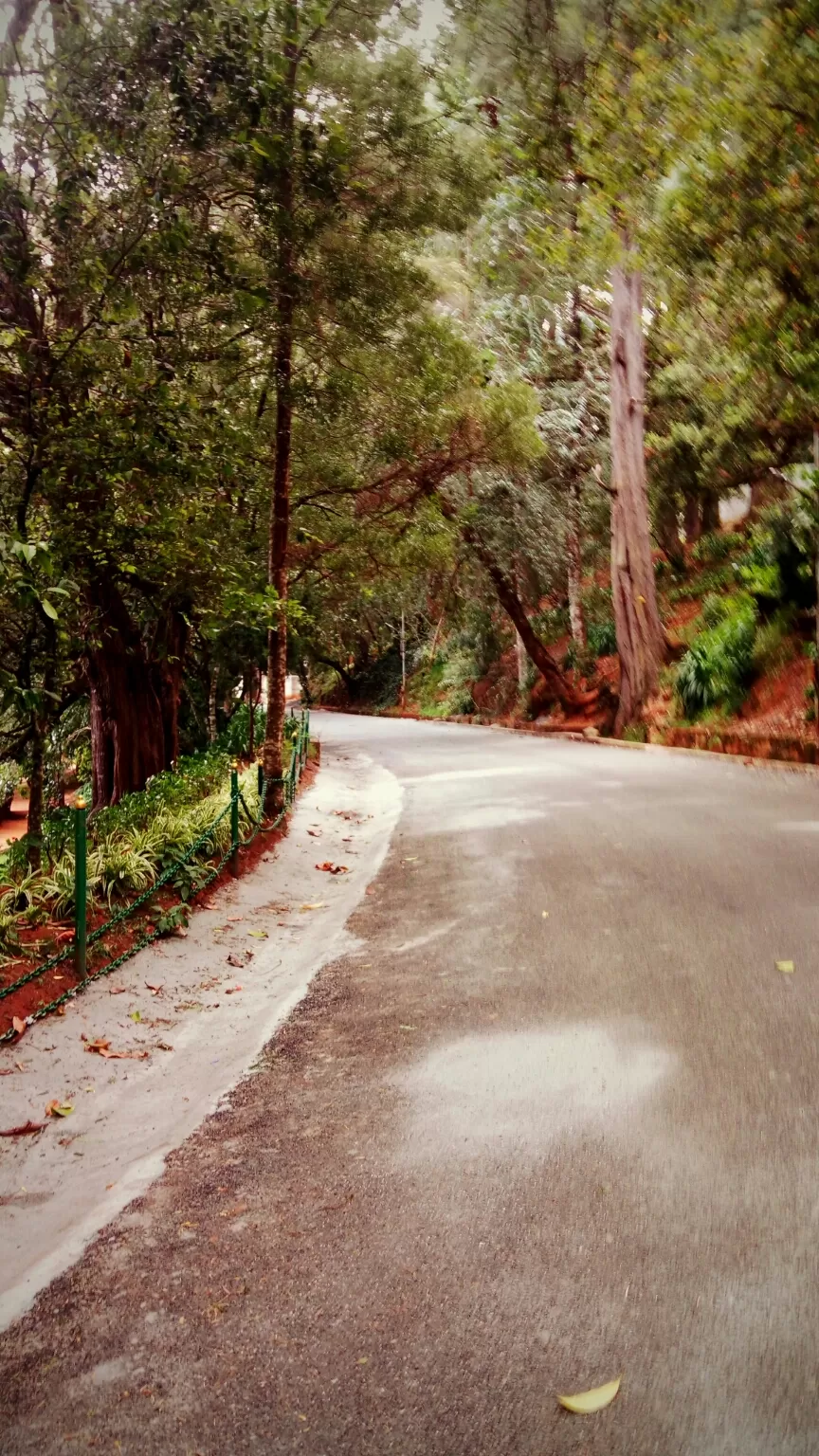Photo of Ooty Botanical Gardens By Aaditya Dwivedi (solo traveller)