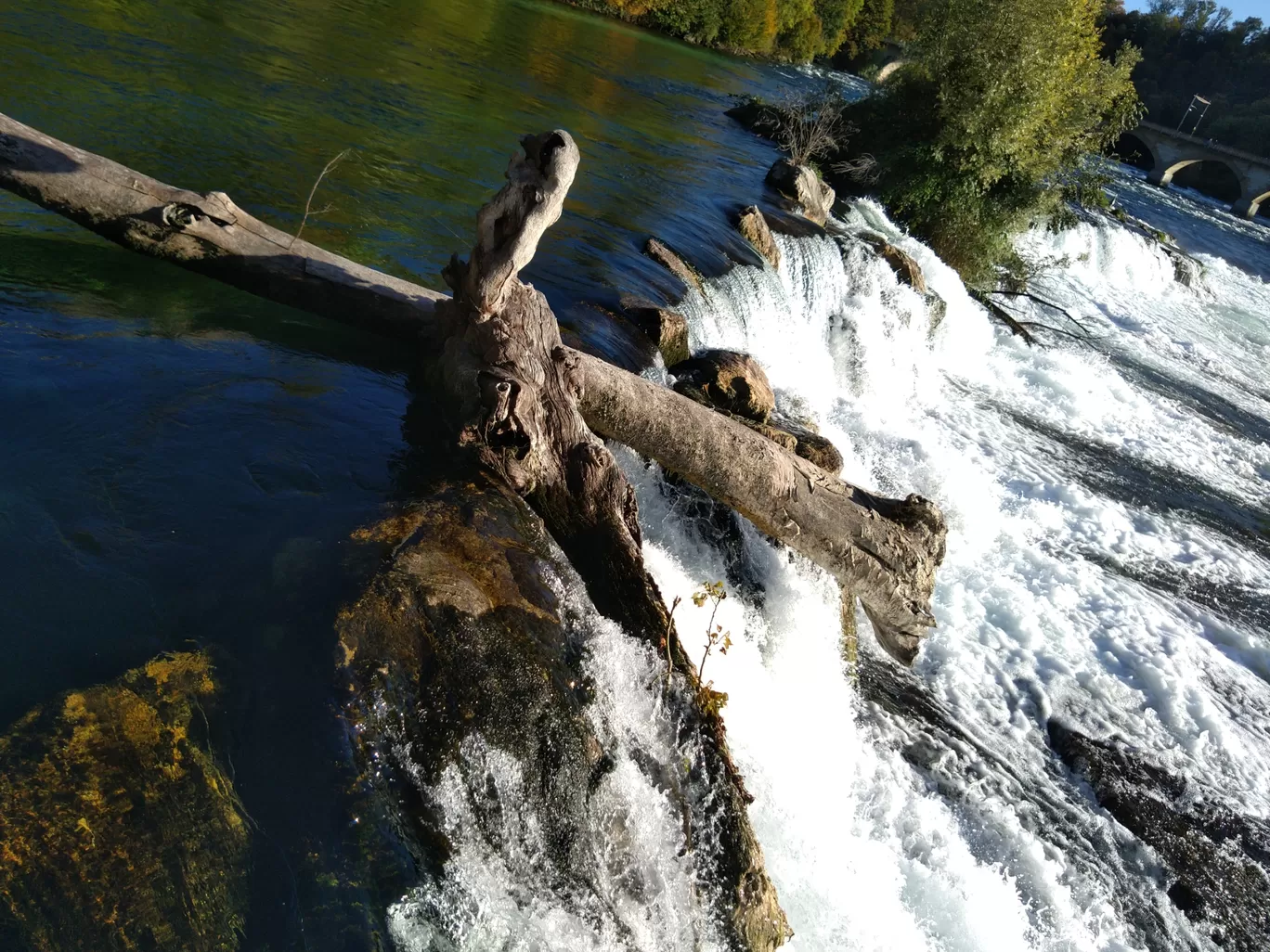 Photo of Rhine Falls By Sameer Tawde