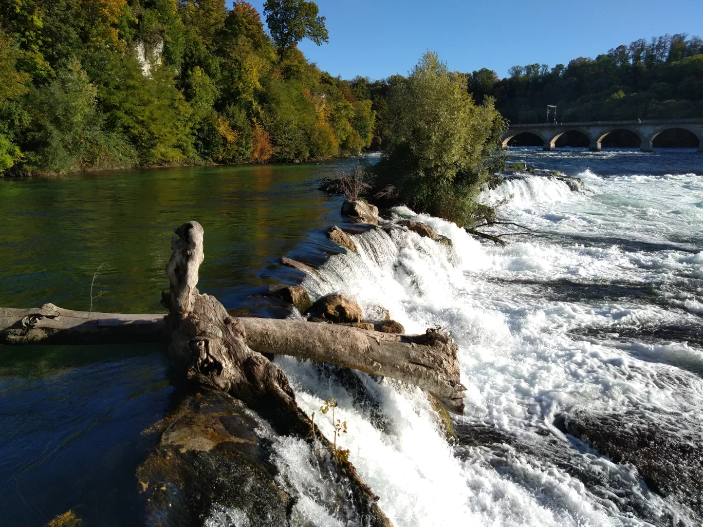 Photo of Rhine Falls By Sameer Tawde