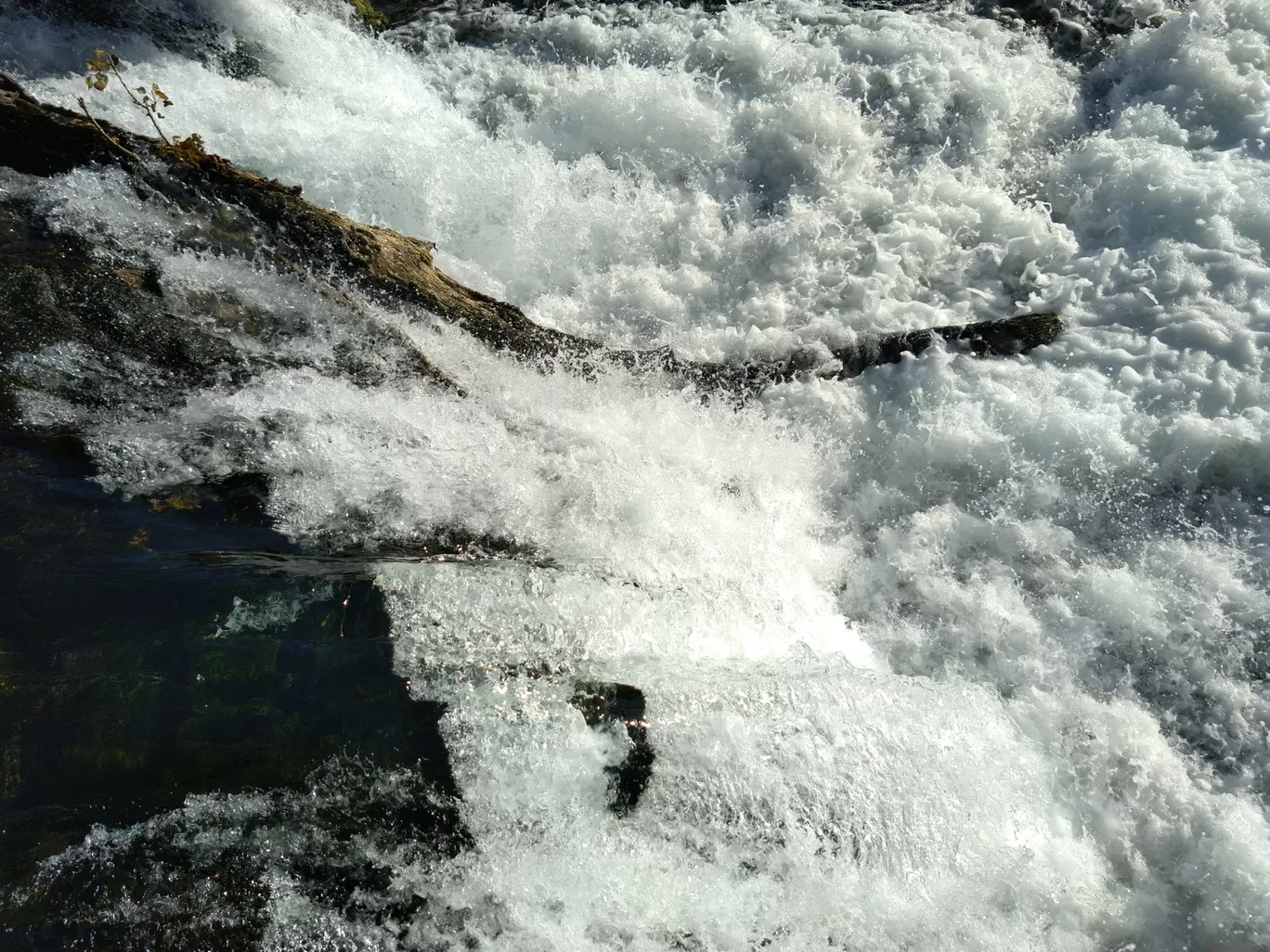 Photo of Rhine Falls By Sameer Tawde