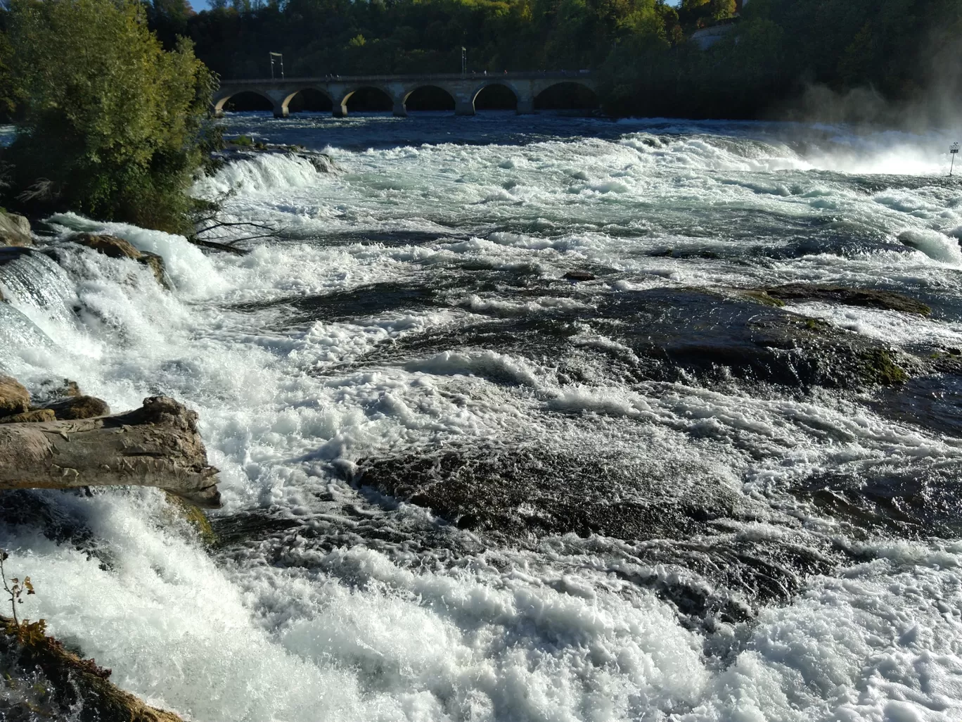 Photo of Rhine Falls By Sameer Tawde