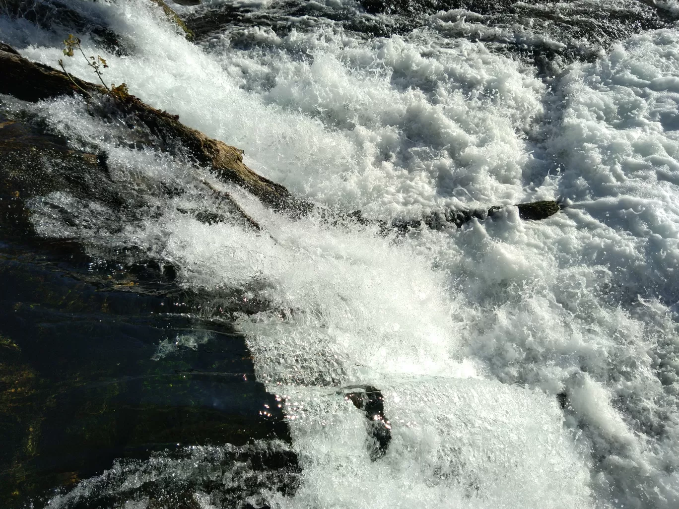 Photo of Rhine Falls By Sameer Tawde