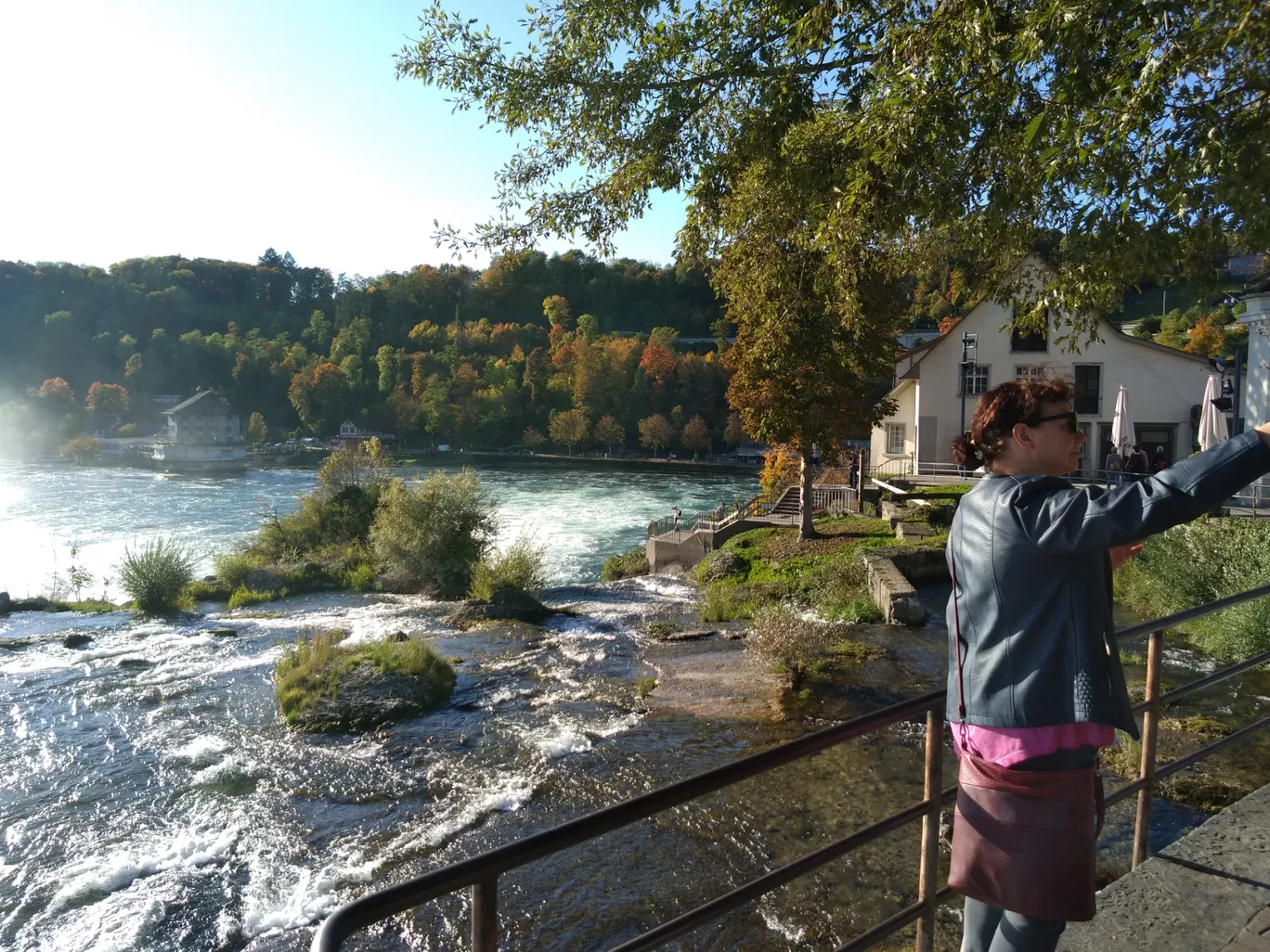Photo of Rhine Falls By Sameer Tawde