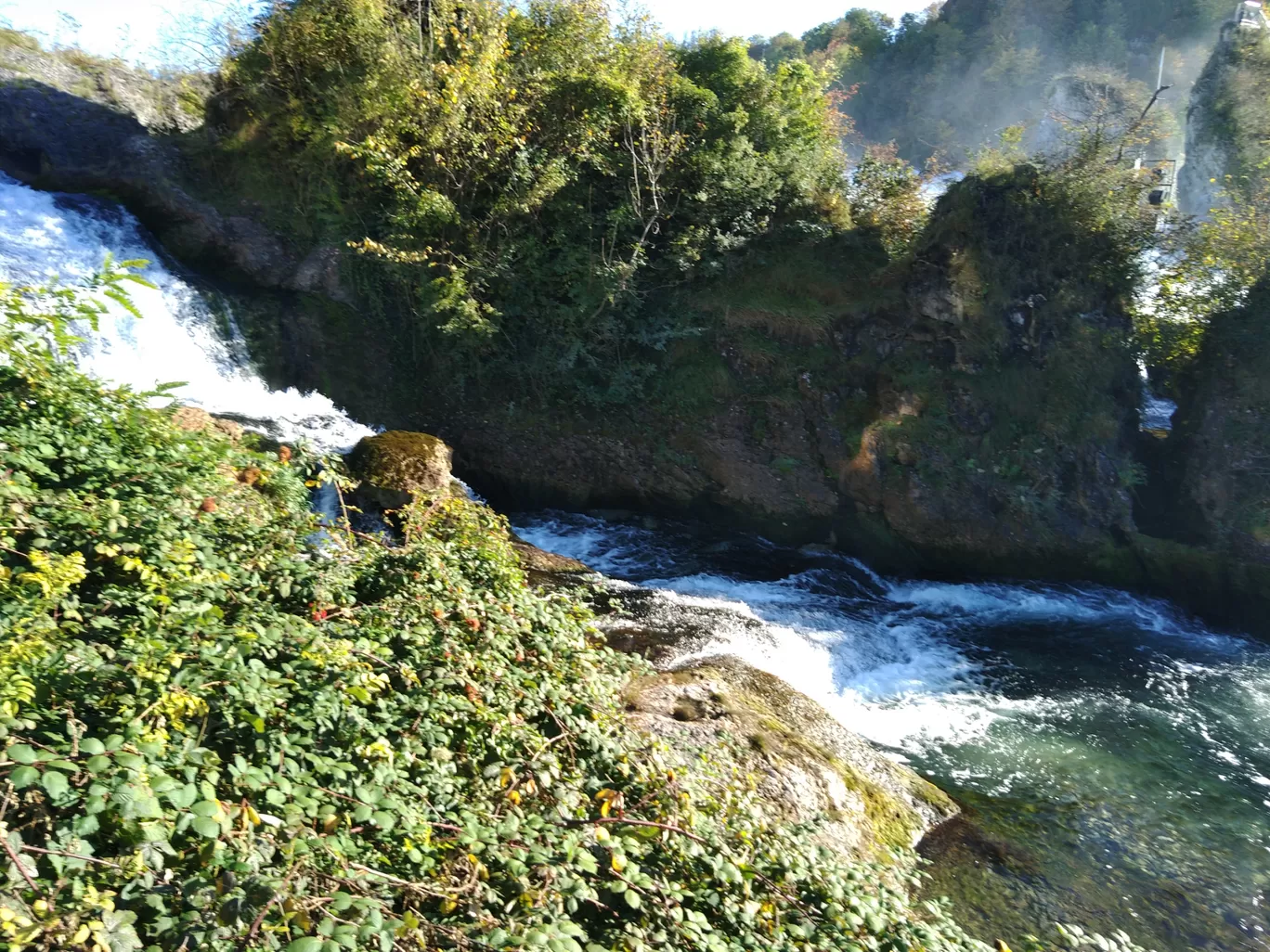 Photo of Rhine Falls By Sameer Tawde