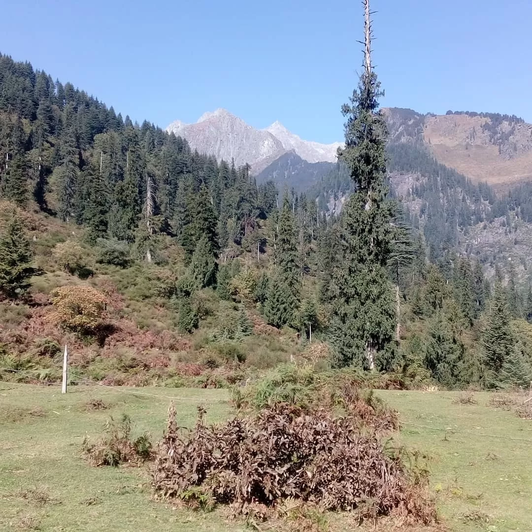 Photo of Camp George Everest - Camping in Mussoorie By Himansh Karki