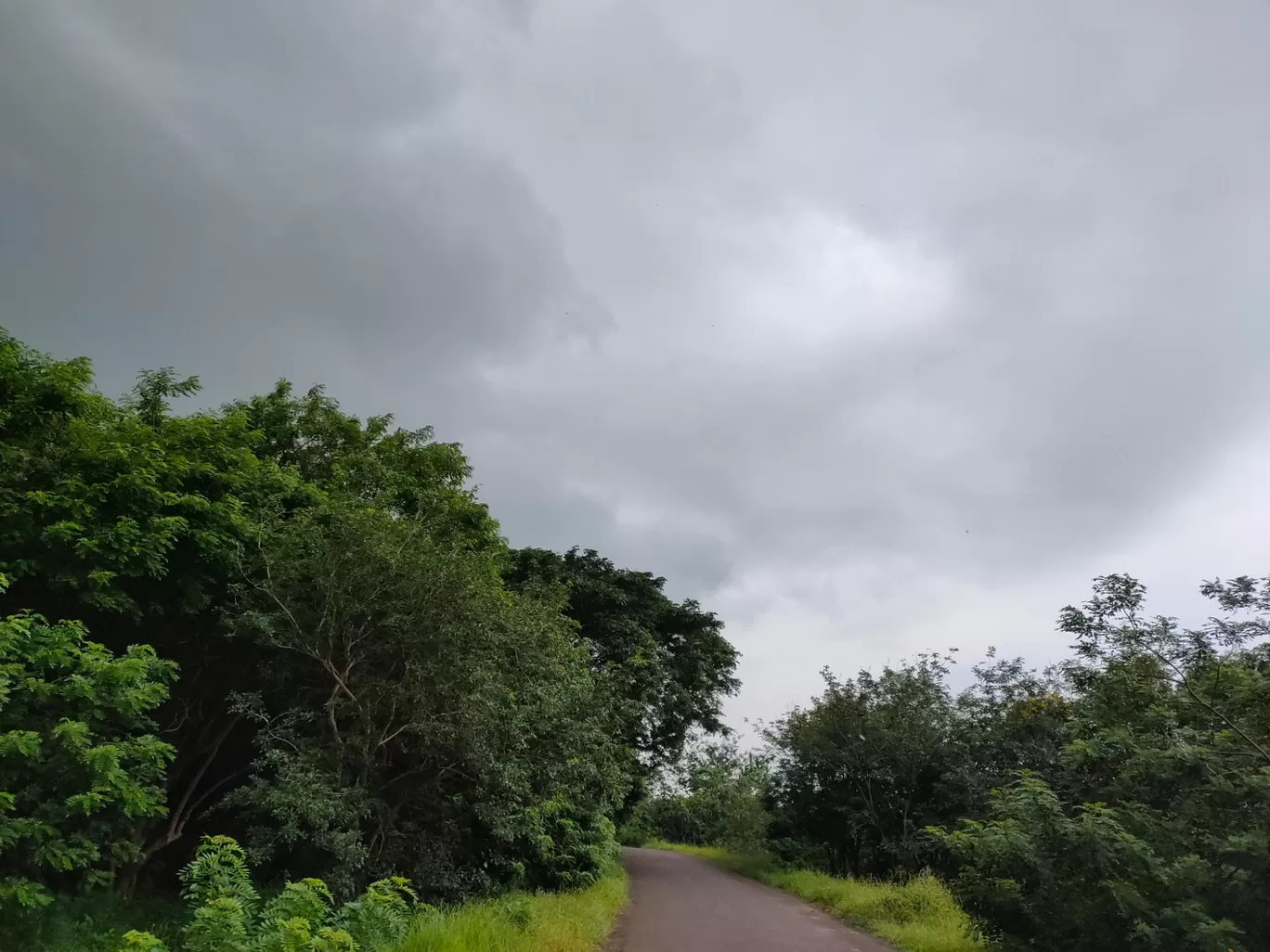 Photo of Dandoba Hills Forest Preserve By Shrinath Sargar