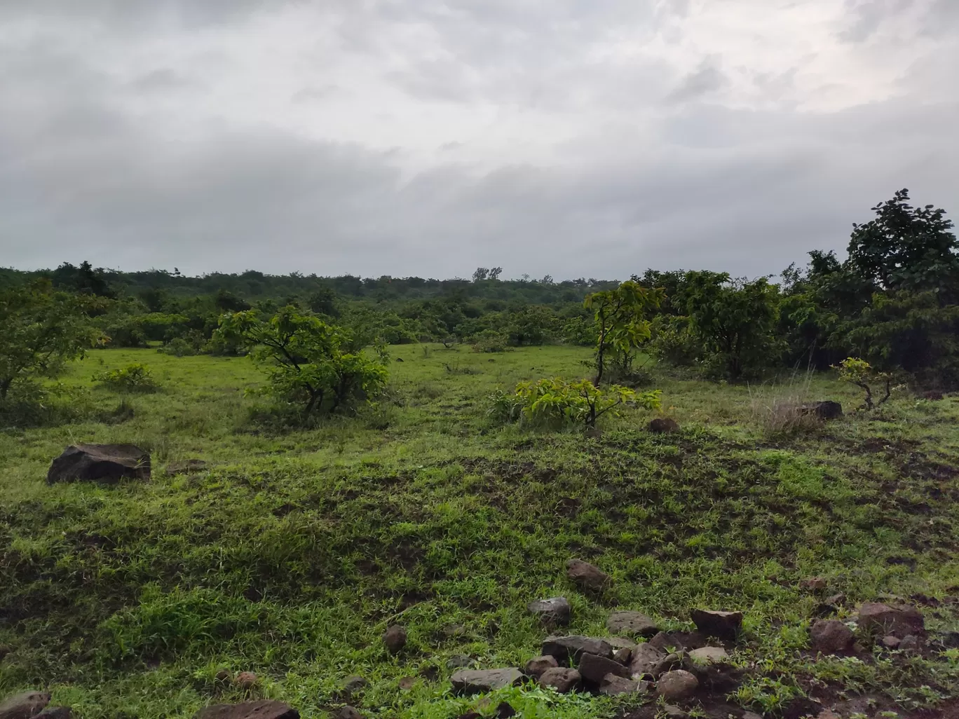 Photo of Vishrambag Sangli By Shrinath Sargar