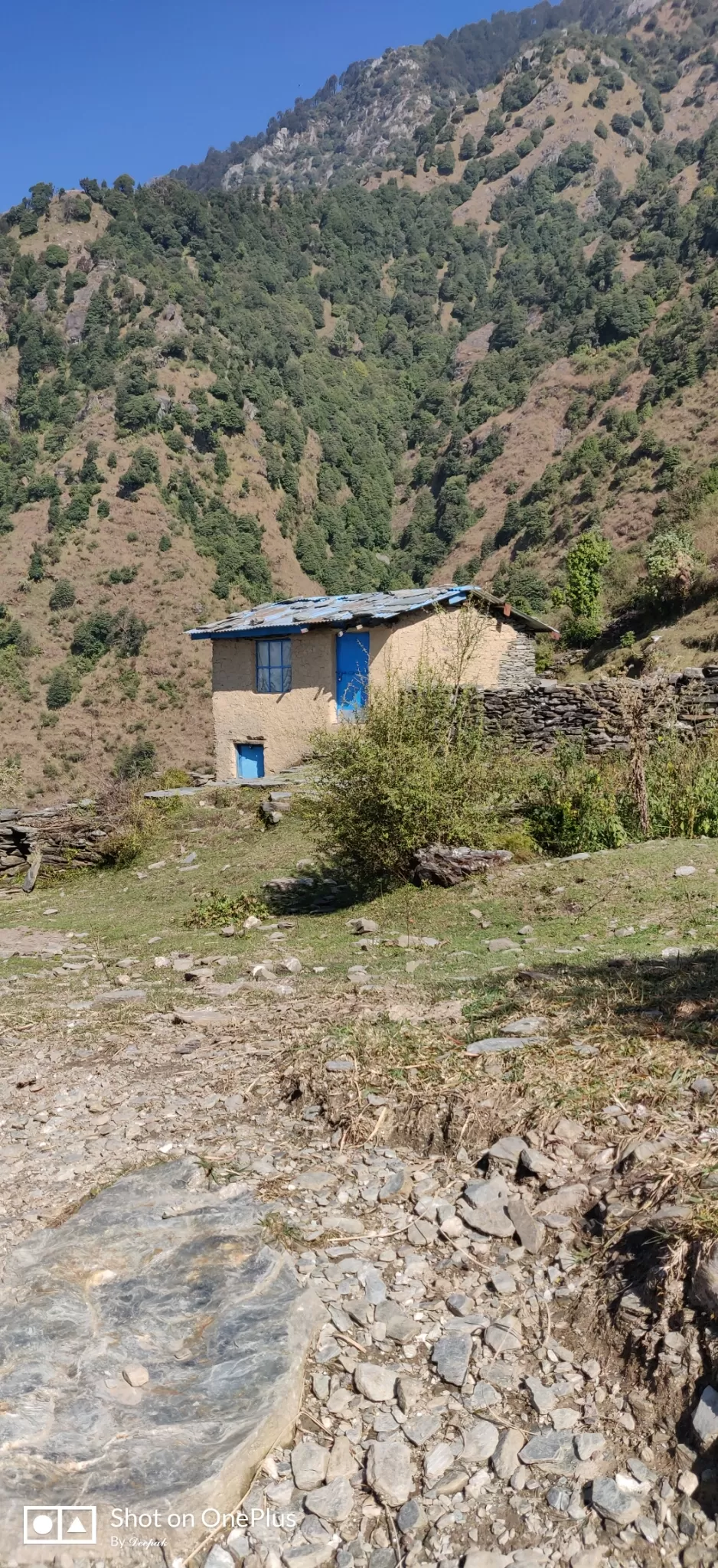Photo of Triund By Deepak Kumar Patel