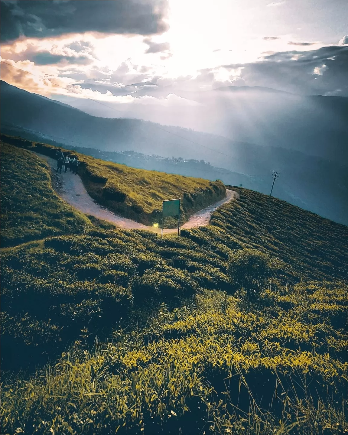 Photo of Darjeeling By Deeksha